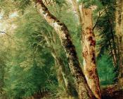 Website for this image - 艾斯·布朗·杜兰德